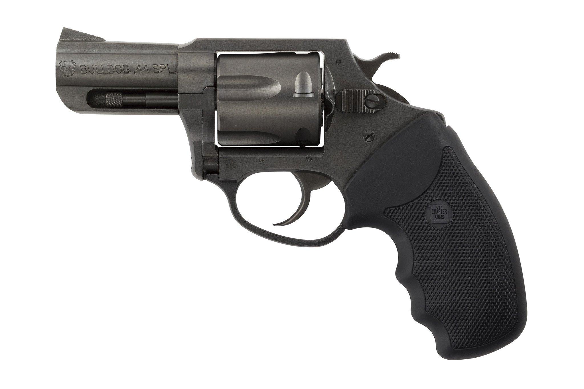 CHARTER ARMS BULLDOG NITRIDE